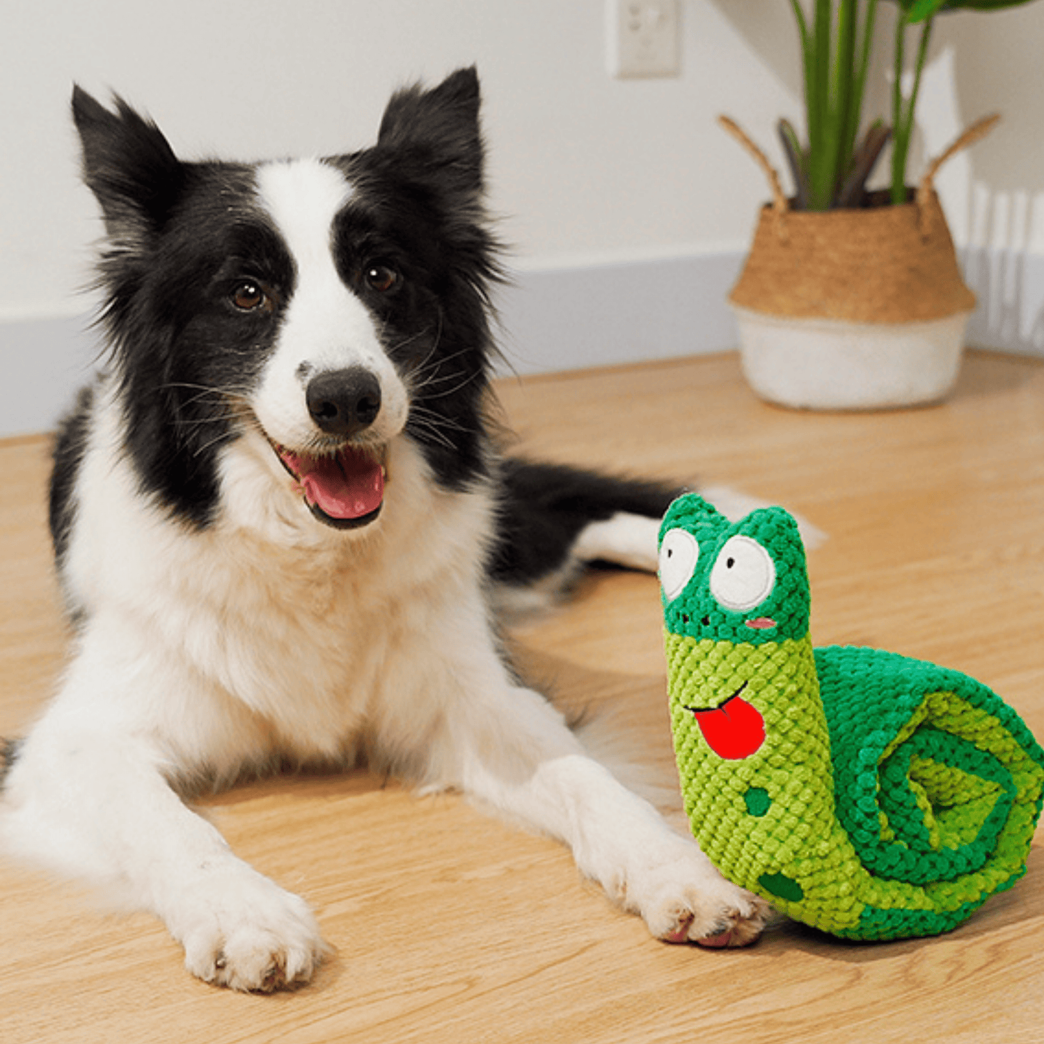 5 Toys That Will Actually Tire Your Dog Out